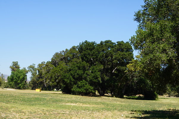 GOR.West.Meadow.003