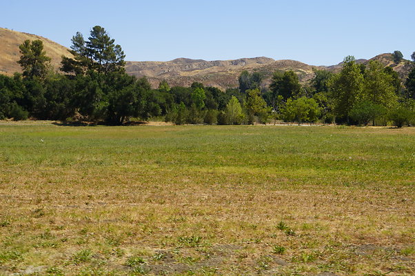 GOR.West.Meadow.027