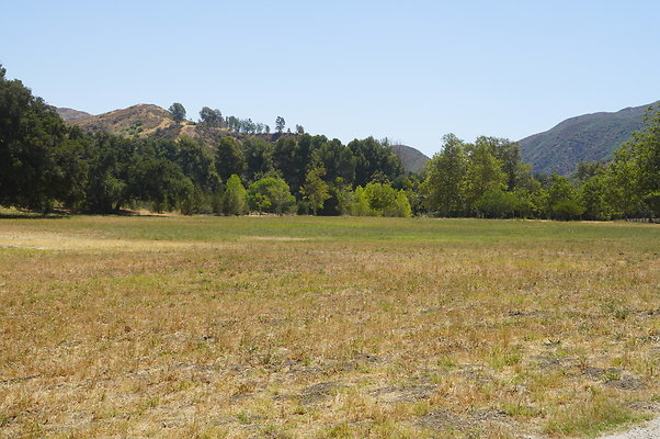 GOR.West.Meadow.022