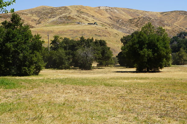 GOR.West.Meadow.012