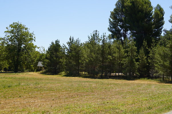 GOR.West.Meadow.029