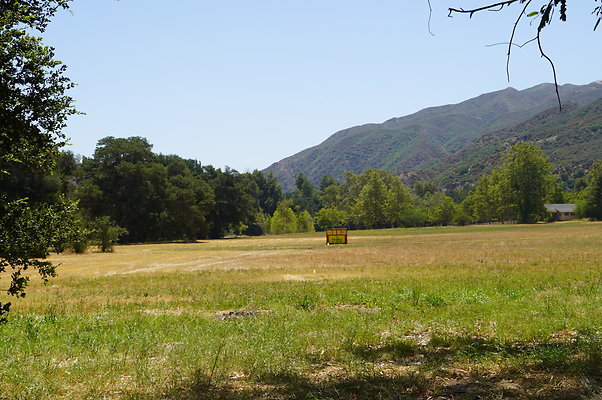GOR.West.Meadow.009