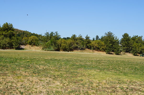 GOR.West.Meadow.005