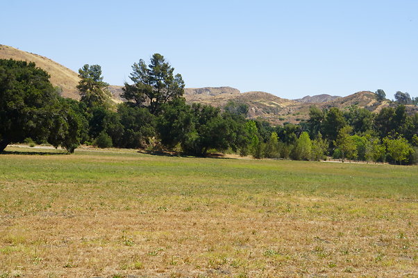 GOR.West.Meadow.025