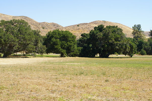 GOR.West.Meadow.024