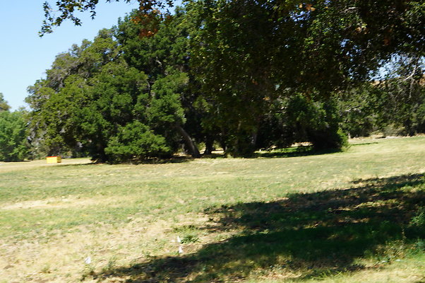 GOR.West.Meadow.006