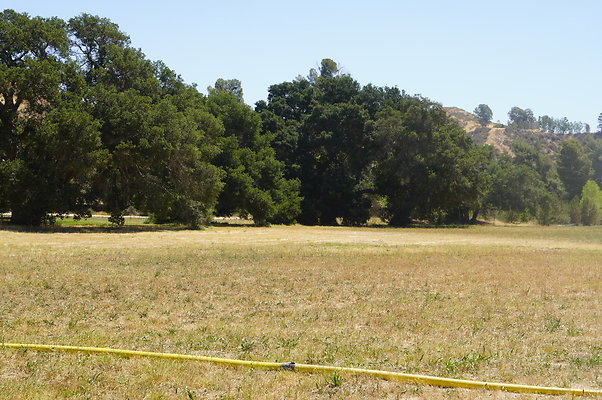 GOR.West.Meadow.017