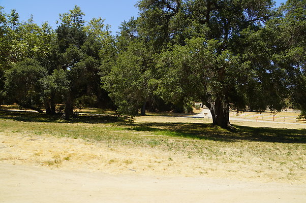 GOR.Ragwing Barn.Green.014