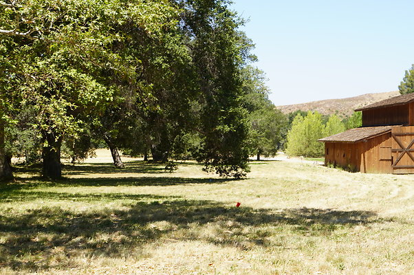 GOR.Ragwing Barn.Green.005