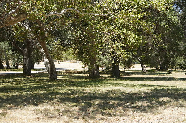 GOR.Ragwing Barn.Green.004