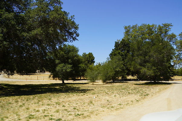 GOR.Ragwing Barn.Green.015