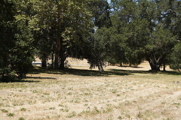 GOR.Ragwing Barn.Green.010