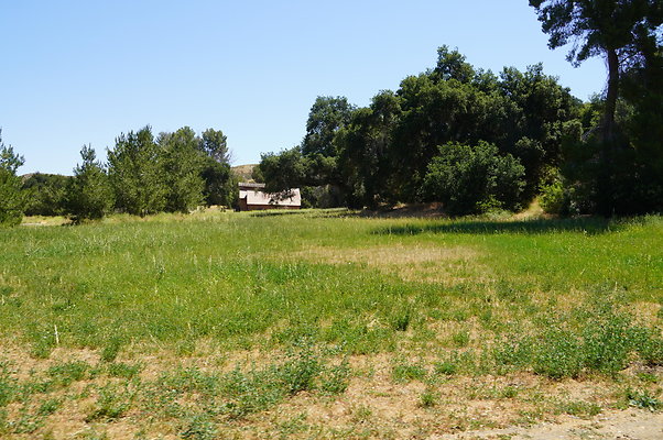 GOR.Bear Hall.Green.013 GOR.Bear Hall.Green.013