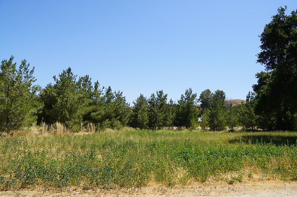 GOR.Bear Hall.Green.007 GOR.Bear Hall.Green.007