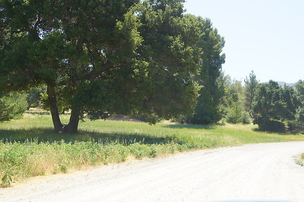 GOR.Bear Hall.Green.009 GOR.Bear Hall.Green.009