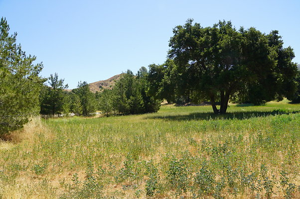 GOR.Bear Hall.Green.004 GOR.Bear Hall.Green.004