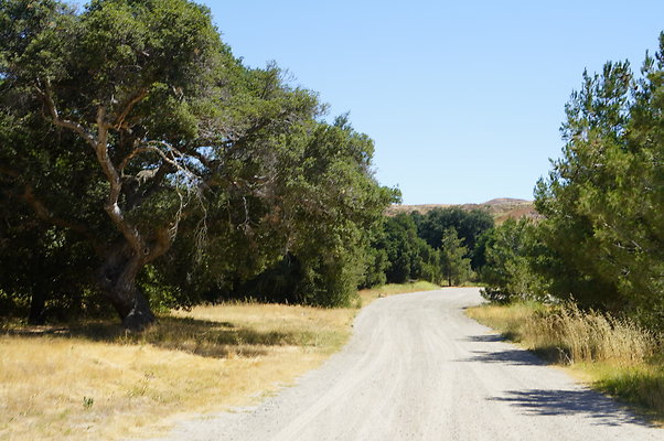 GOR.Bear Hall.Green.003 GOR.Bear Hall.Green.003