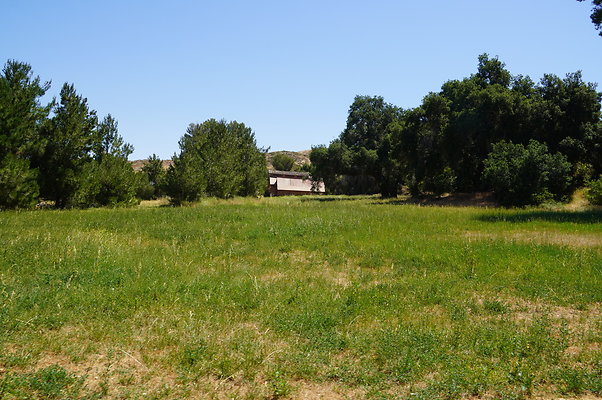 GOR.Bear Hall.Green.012 GOR.Bear Hall.Green.012