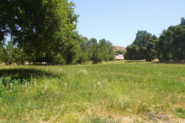 GOR.Bear Hall.Green.011 GOR.Bear Hall.Green.011