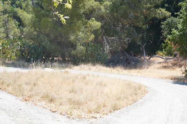 GOR.Placerita Insert Road.018