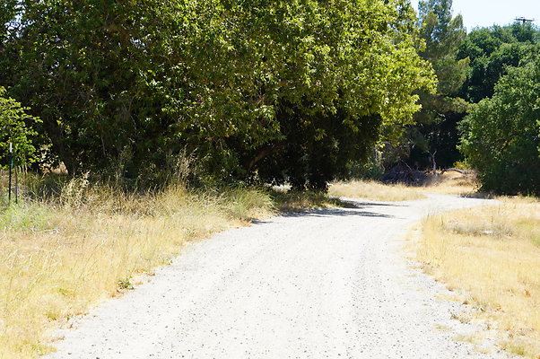 GOR.Placerita Insert Road.017