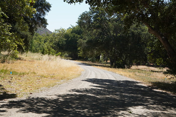 GOR.Placerita Insert Road.013