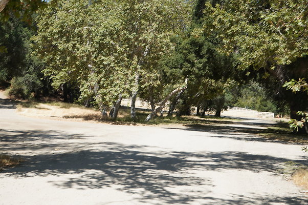 GOR.Placerita Insert Road.024