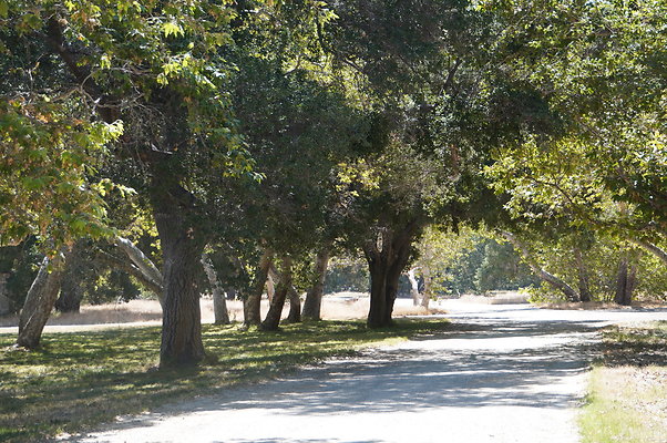 GOR.Placerita Insert Road.004