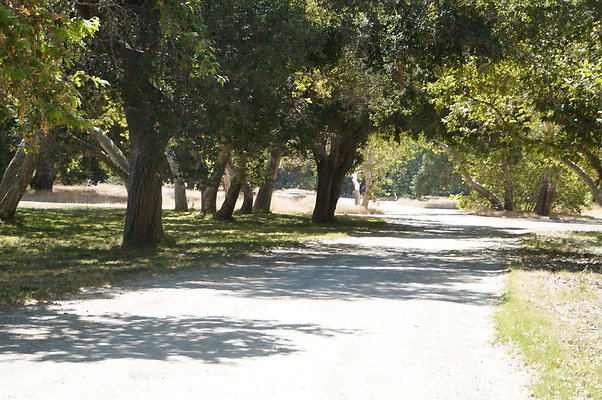 GOR.Placerita Insert Road.005