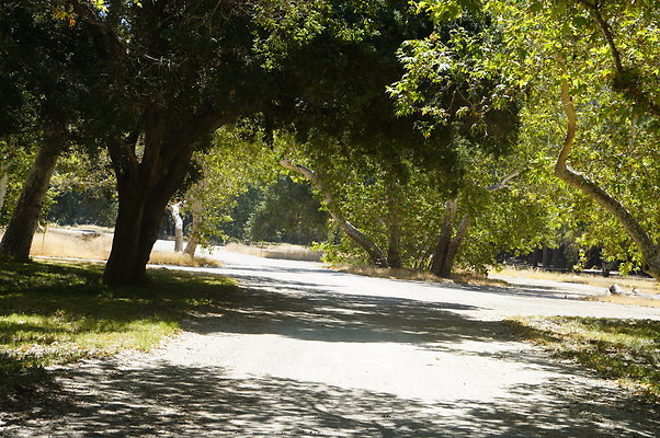 GOR.Placerita Insert Road.007