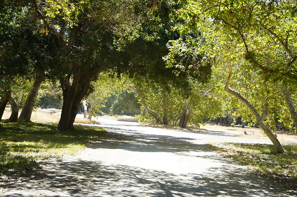 GOR.Placerita Insert Road.009