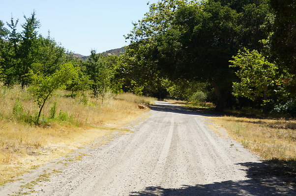 GOR.Placerita Insert Road.015