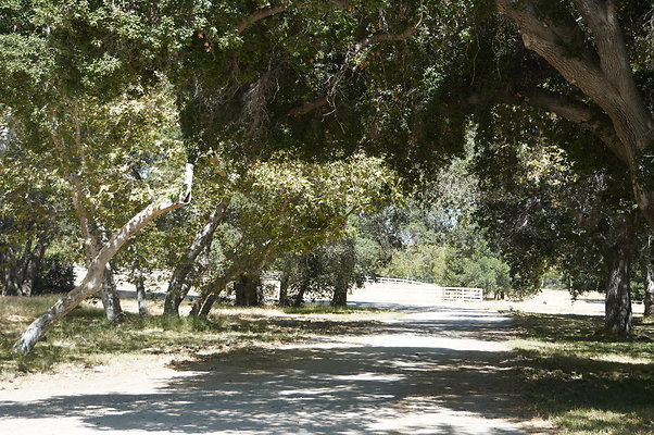 GOR.Placerita Insert Road.025