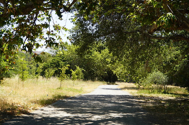 GOR.Placerita Insert Road.016