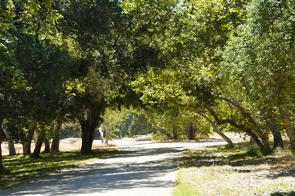 GOR.Placerita Insert Road.003