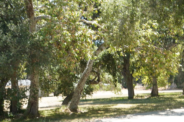 GOR.Placerita Insert Road.002