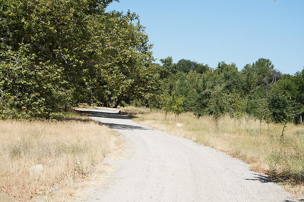 GOR.Placerita Insert Road.019