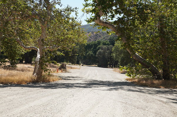 GOR.Placerita Insert Road.010