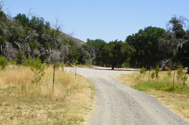 GOR.Heil.Cyn.017 GOR.Heil.Cyn.017