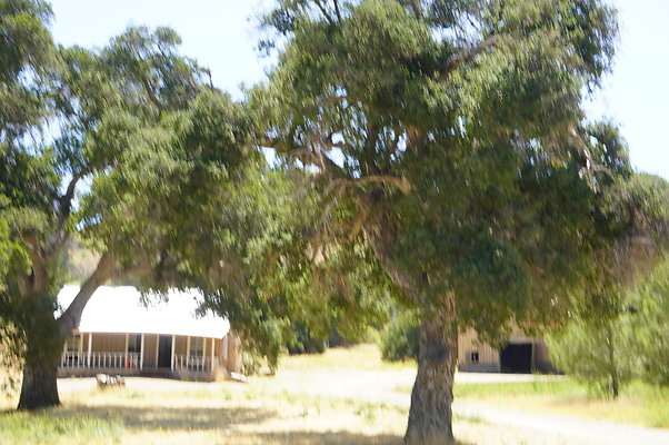 GOR.Heil.Cyn.007 GOR.Heil.Cyn.007