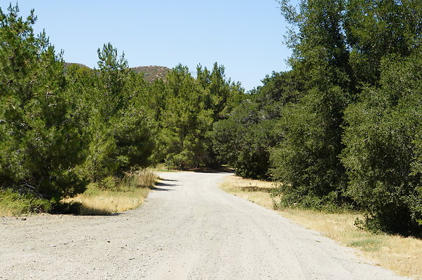 GOR.Heil.Cyn.034 GOR.Heil.Cyn.034