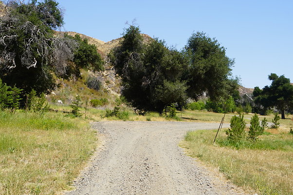 GOR.Heil.Cyn.012 GOR.Heil.Cyn.012