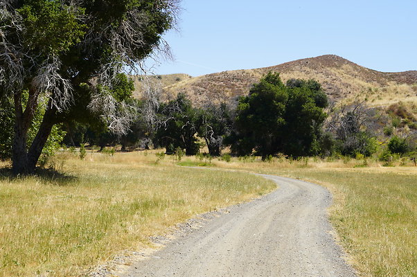 GOR.Heil.Cyn.016 GOR.Heil.Cyn.016