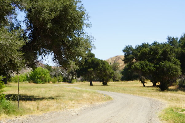 GOR.Heil.Cyn.013 GOR.Heil.Cyn.013