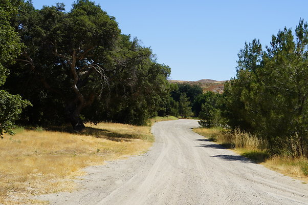 GOR.Heil.Cyn.003 GOR.Heil.Cyn.003