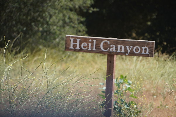 GOR.Heil.Cyn.004 GOR.Heil.Cyn.004