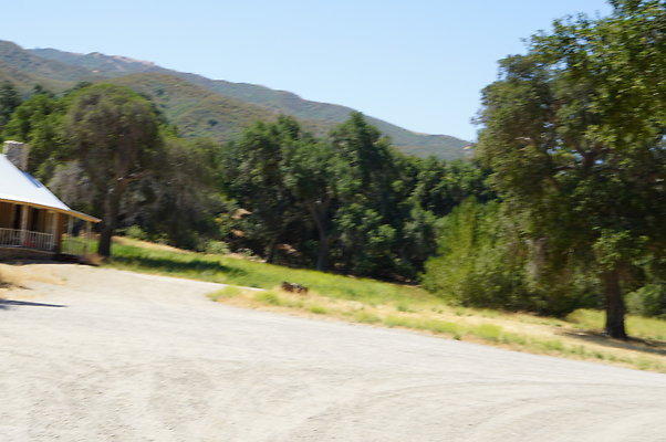 GOR.Heil.Cyn.031 GOR.Heil.Cyn.031