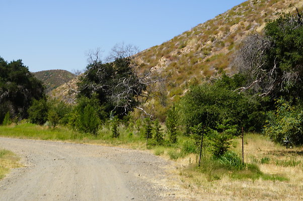 GOR.Heil.Cyn.024 GOR.Heil.Cyn.024