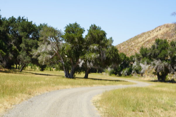 GOR.Heil.Cyn.021 GOR.Heil.Cyn.021