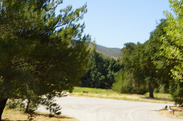 GOR.Heil.Cyn.029 GOR.Heil.Cyn.029